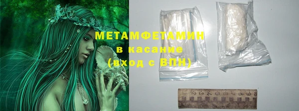 прущие грибы Покров