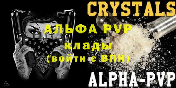 прущие грибы Покров