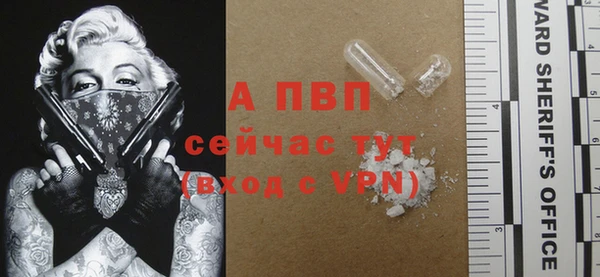 прущие грибы Покров
