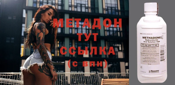 прущие грибы Покров